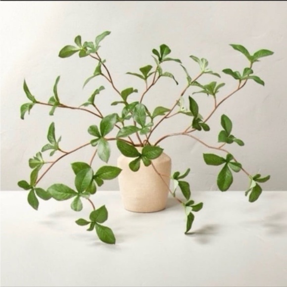 Hearth & Hand Magnolia 11” Faux Gypsophila Leaf Arrangement - Picture 1 of 10